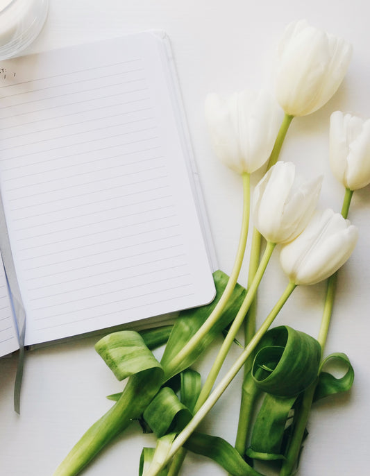 The Art of Apology Flowers