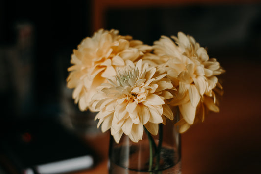 How to Make Flowers Last Longer